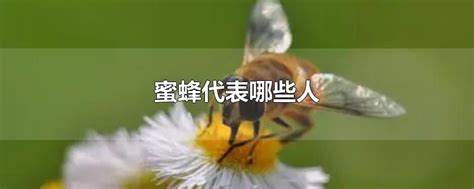 蜜蜂代表什麼 測五行屬性